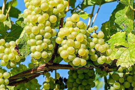 Wohnung Wertheim - 3 Zimmer, 96 m&sup2;, 710&euro; | Angebot:25958747