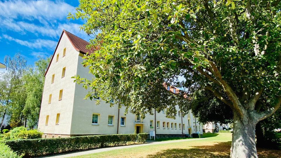 Etagenwohnung Ronneburg - 2 Zimmer, 50 m&sup2;, 268&euro; | Angebot:26252795