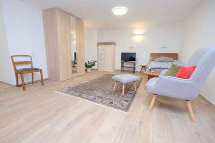 Wohnen auf Zeit in Mainz 850 € 1 zimmer