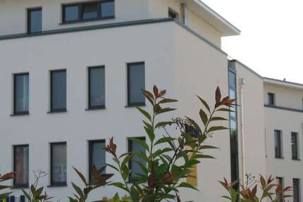 Wohnung Dortmund Aplerbeck - 2 Zimmer, 62 m&sup2;, 341&euro; | Angebot:26723481