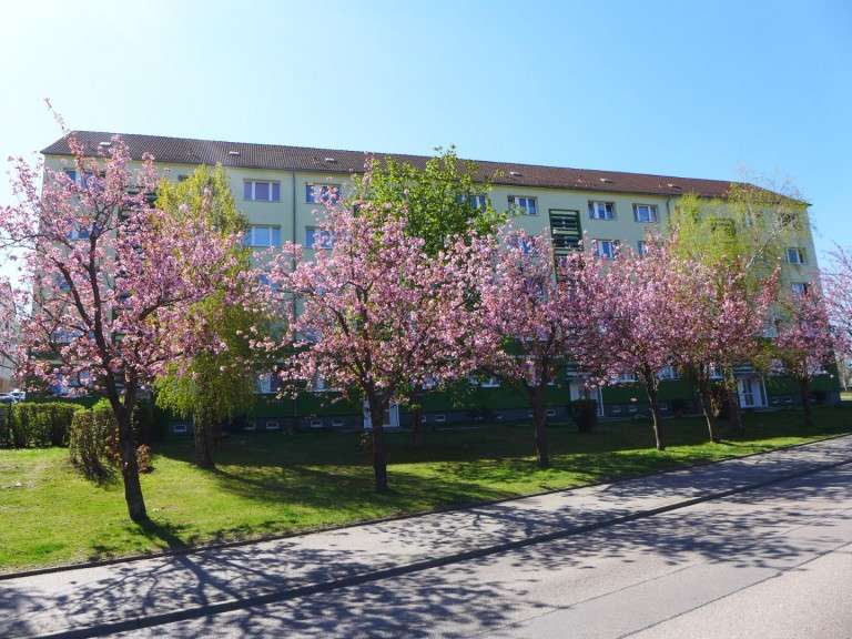 Etagenwohnung Limbach-Oberfrohna Oberfrohna - 3 Zimmer, 57 m&sup2;, 320&euro; | Angebot:27009985
