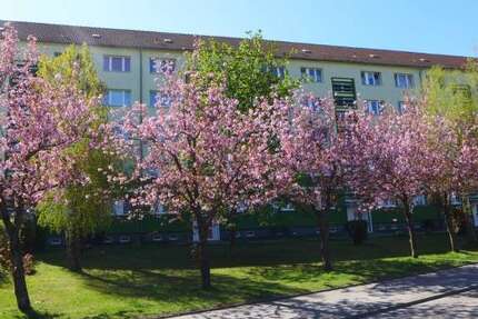 Wohnung Limbach-Oberfrohna Oberfrohna - 3 Zimmer, 57 m&sup2;, 320&euro; | Angebot:27009985
