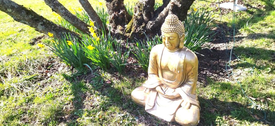 Wohnen auf Zeit Bollschweil - 1 Zimmer, 20 m&sup2;, 480&euro; | Angebot:24736582