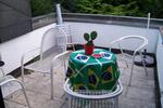 grosses WG-Zimmer zum Garten mit Terrasse, Zentrum 10 min zu Fuss