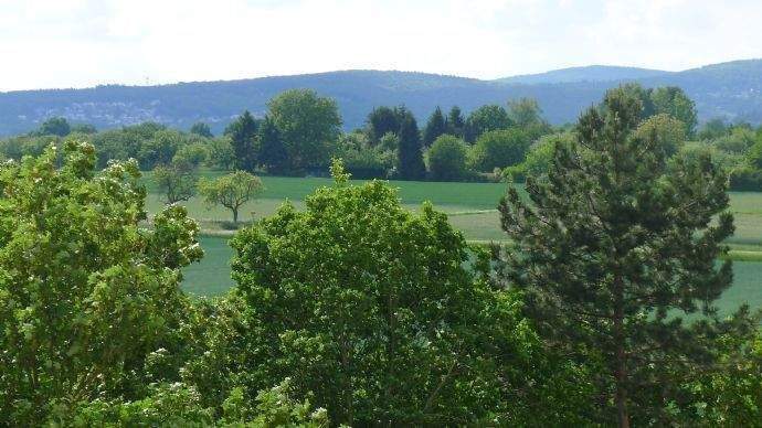 Etagenwohnung Steinbach - 2 Zimmer, 60 m&sup2;, 690&euro; | Angebot:25673135