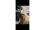 Hochparterre Ratingen - 2 Zimmer, 56 m&sup2;, 600&euro; | Angebot:26686412