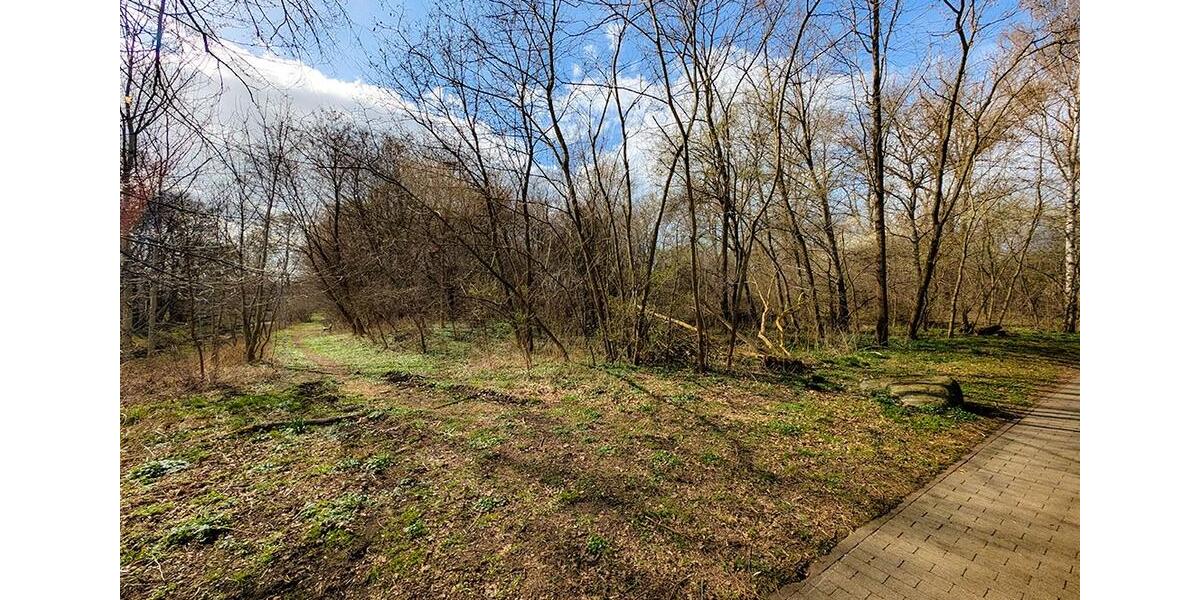Gewerbeobjekt Großenhain - 1.000&euro; | Angebot:26104249
