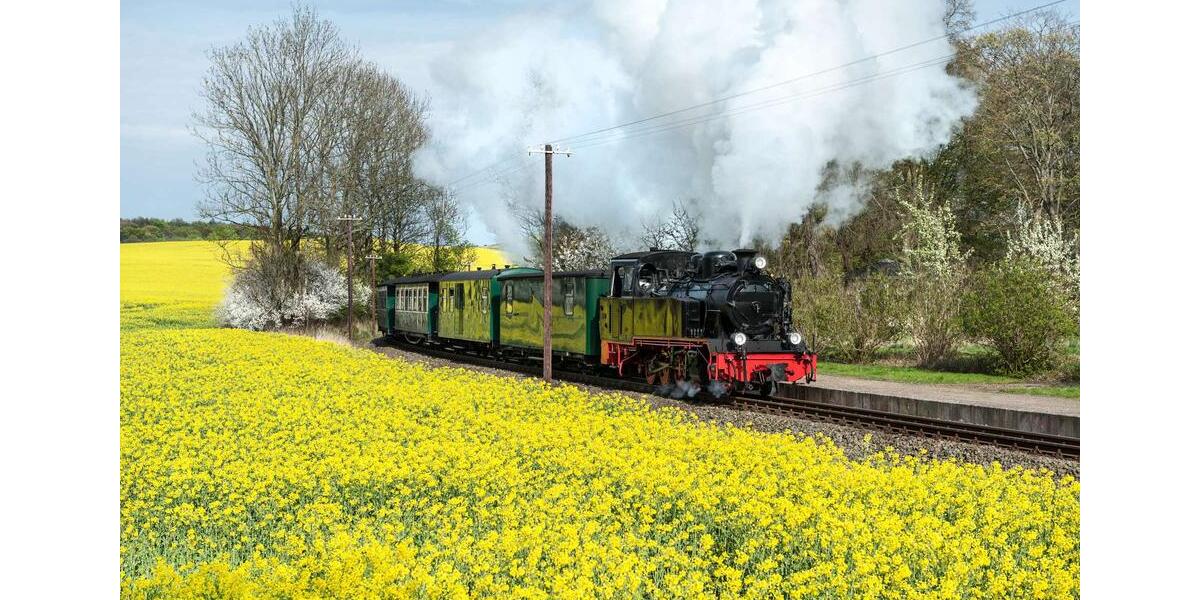 Etagenwohnung Sellin - 4 Zimmer, 113 m&sup2;, 1.350&euro; | Angebot:24751591