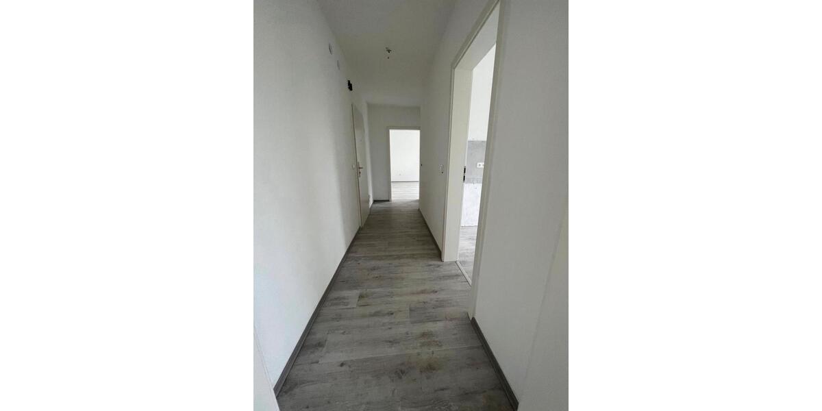 2,5 Zimmer Wohnung zu vermieten in Rumeln Kaldenhausen 2 zimmer