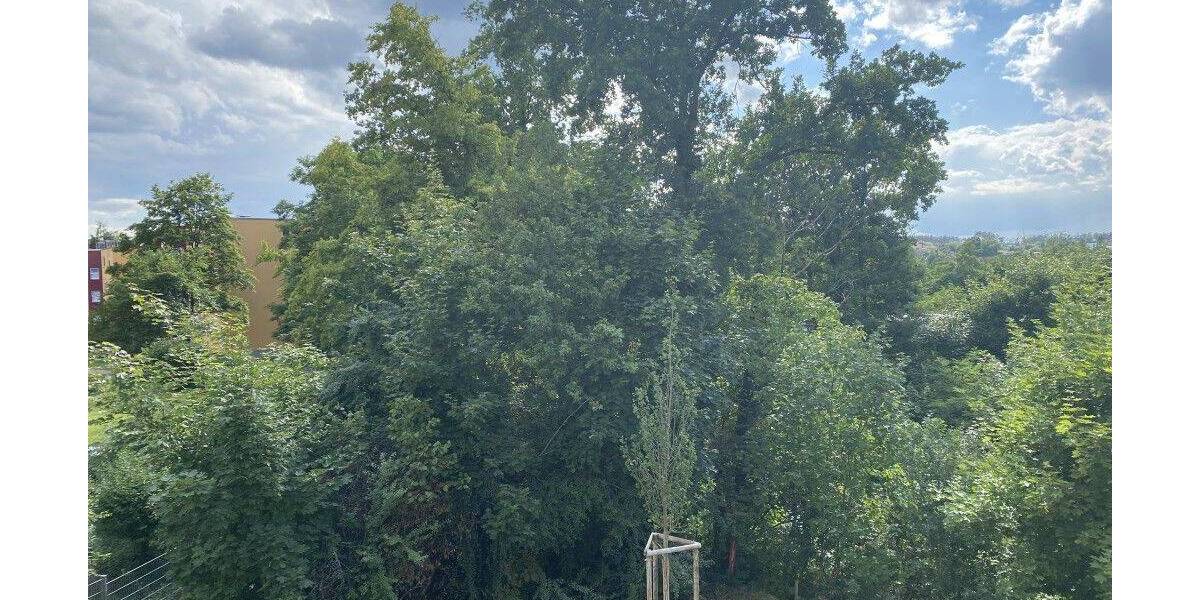 Terrassenwohnung Roth - 2 Zimmer, 60 m&sup2;, 802&euro; | Angebot:26910507