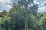 Terrassenwohnung Roth - 2 Zimmer, 60 m&sup2;, 802&euro; | Angebot:26910507