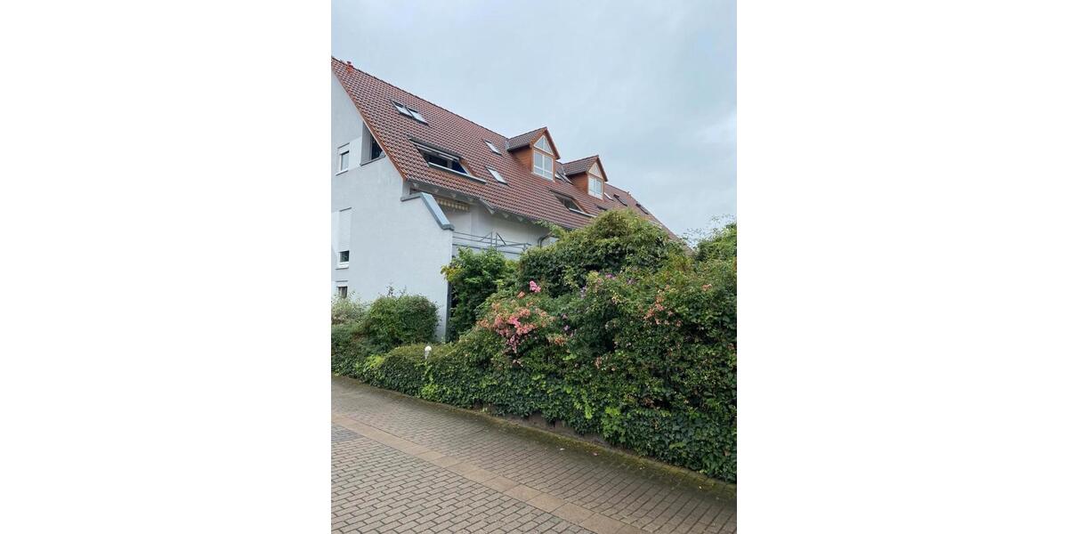 Dachgeschoßwohnung Monsheim - 1 Zimmer, 30 m&sup2;, 590&euro; | Angebot:24692132