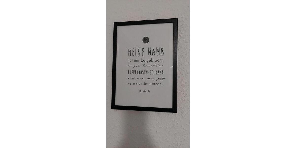 Erdgeschoßwohnung Roßwein - 1 Zimmer, 38 m&sup2;, 300&euro; | Angebot:24994628