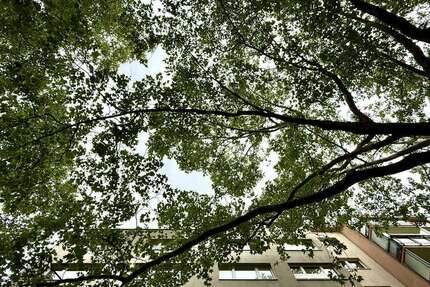 Wohnung zum Mieten in Berlin 699 € 25.3 m²