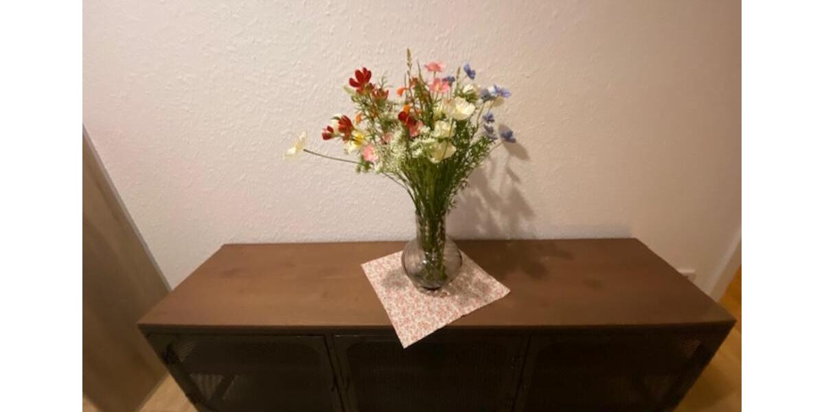 Wohnen auf Zeit Magdeburg Leipziger Straße - 1 Zimmer, 31 m&sup2;, 995&euro; | Angebot:25047982