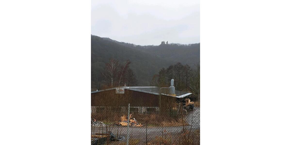 Gewerbeobjekt Meisenheim - 2.400&euro; | Angebot:24891363