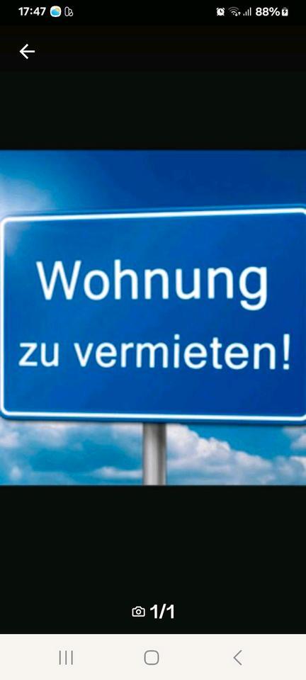 in Flehingen. 3 .ZW 1. Küche