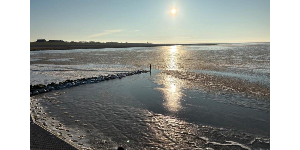 Doppelhaushälfte Friedrichskoog - 3 Zimmer, 65 m&sup2;, 900&euro; | Angebot:26036434