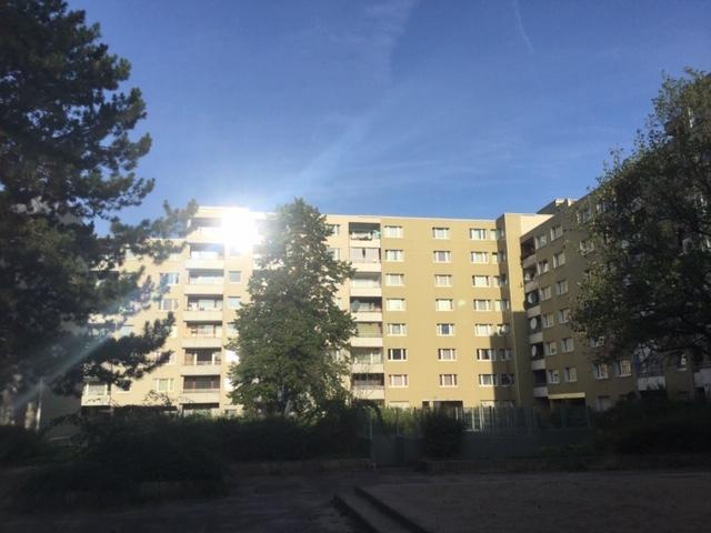 Perfekt für Familien: frisch sanierte 4-Zimmer-Wohnung 4 zimmer