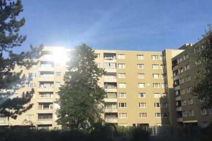 Perfekt für Familien: frisch sanierte 4-Zimmer-Wohnung zimmer