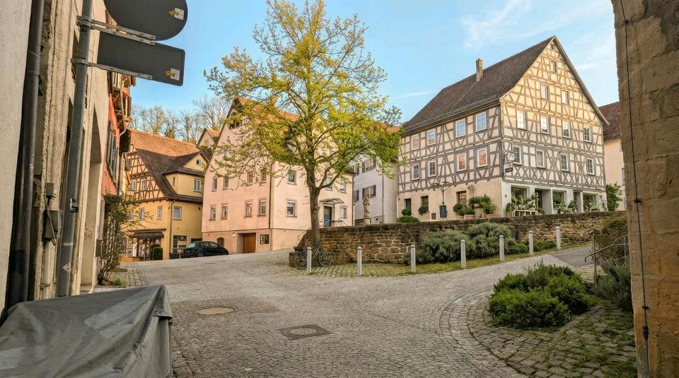 Wohnen auf Zeit Marbach am Neckar - 1 Zimmer, 18 m&sup2;, 520&euro; | Angebot:25931369