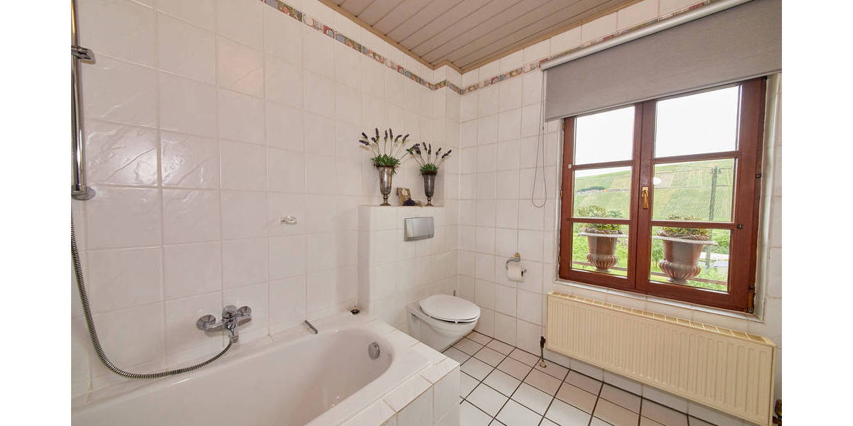 Gewerbeobjekt Brauneberg Filzen - 2.500&euro; | Angebot:25729667