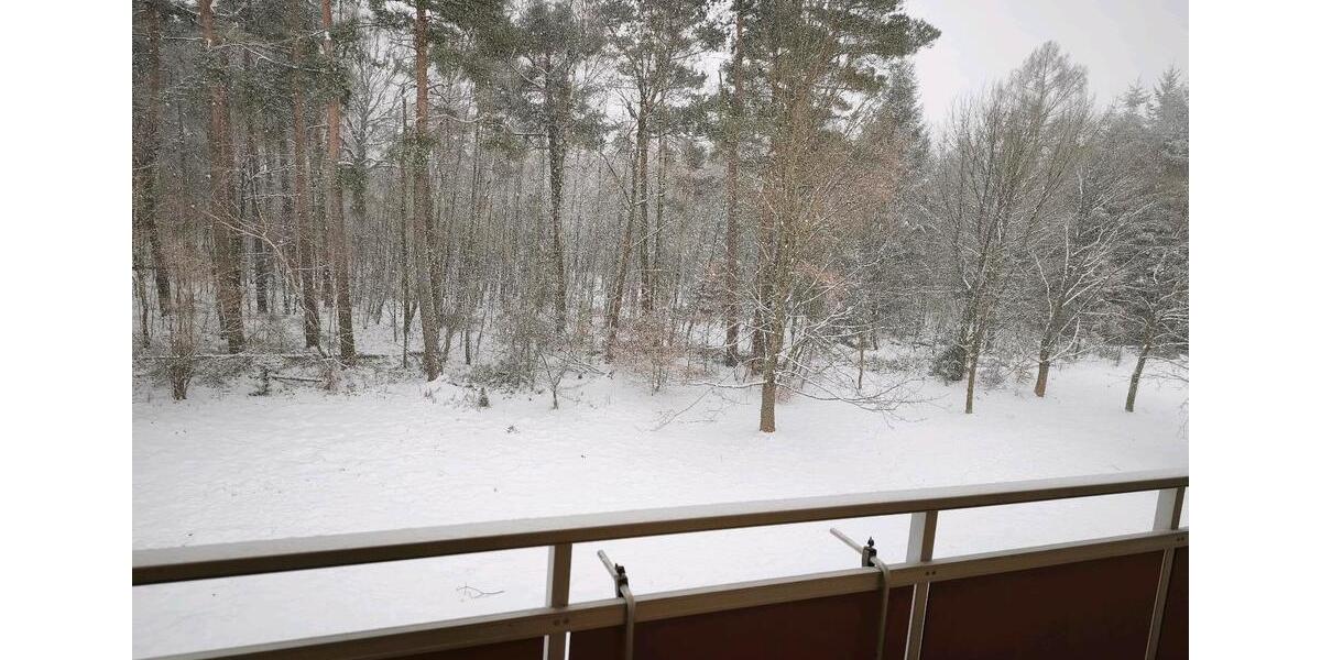 Etagenwohnung Grünhain-Beierfeld Beierfeld - 2 Zimmer, 50 m&sup2;, 450&euro; | Angebot:24704305