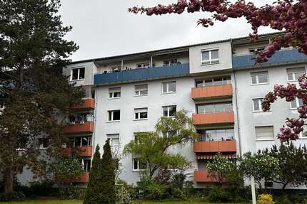Wohnung Landau - 3 Zimmer, 66 m&sup2;, 790&euro; | Angebot:26249365