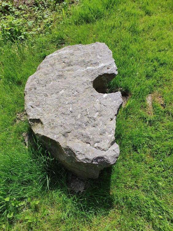 Wohnen im Grünen 2 zimmer