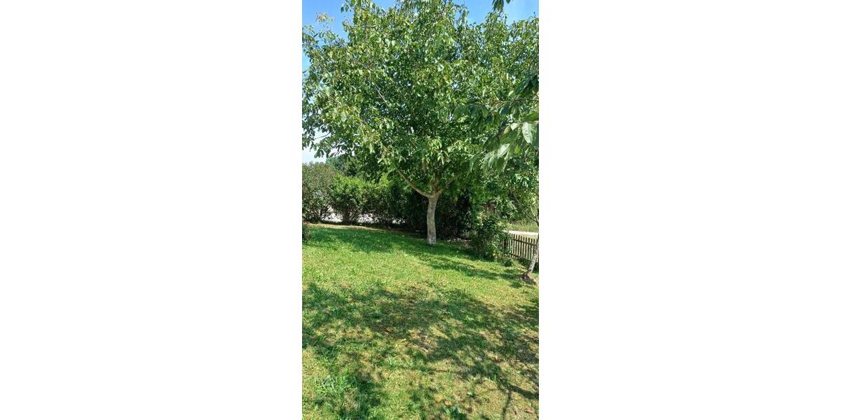 Doppelhaushälfte Reichertsheim - 4 Zimmer, 205 m&sup2;, 1.700&euro; | Angebot:25395204