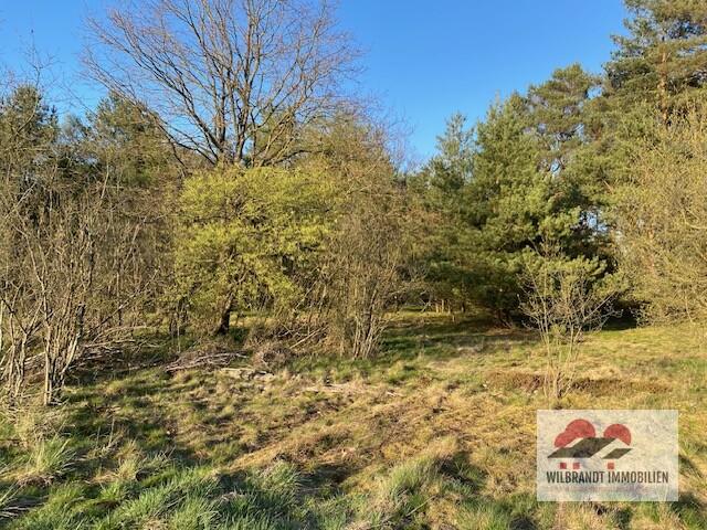 Gewerbeobjekt Bleckede - 3.600&euro; | Angebot:26550226