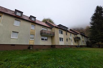 Wohnung Bad Grund (Harz) - 3 Zimmer, 55 m&sup2;, 358&euro; | Angebot:23566997