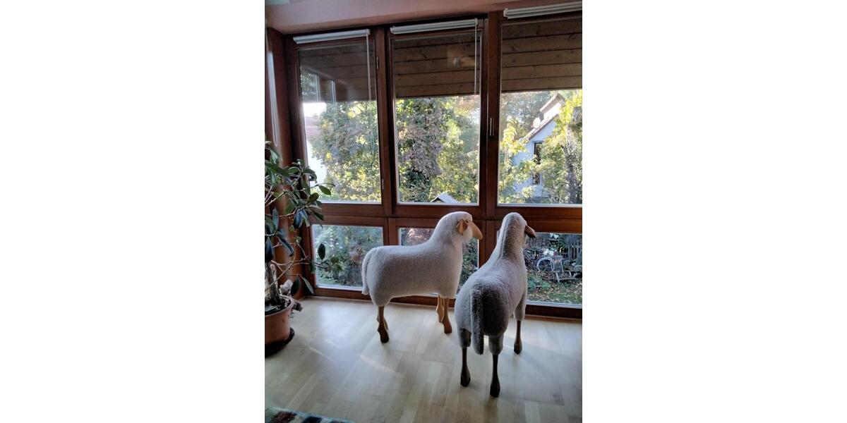 Wohnen auf Zeit Gütersloh Avenwedde - 1 Zimmer, 22 m&sup2;, 430&euro; | Angebot:25903752