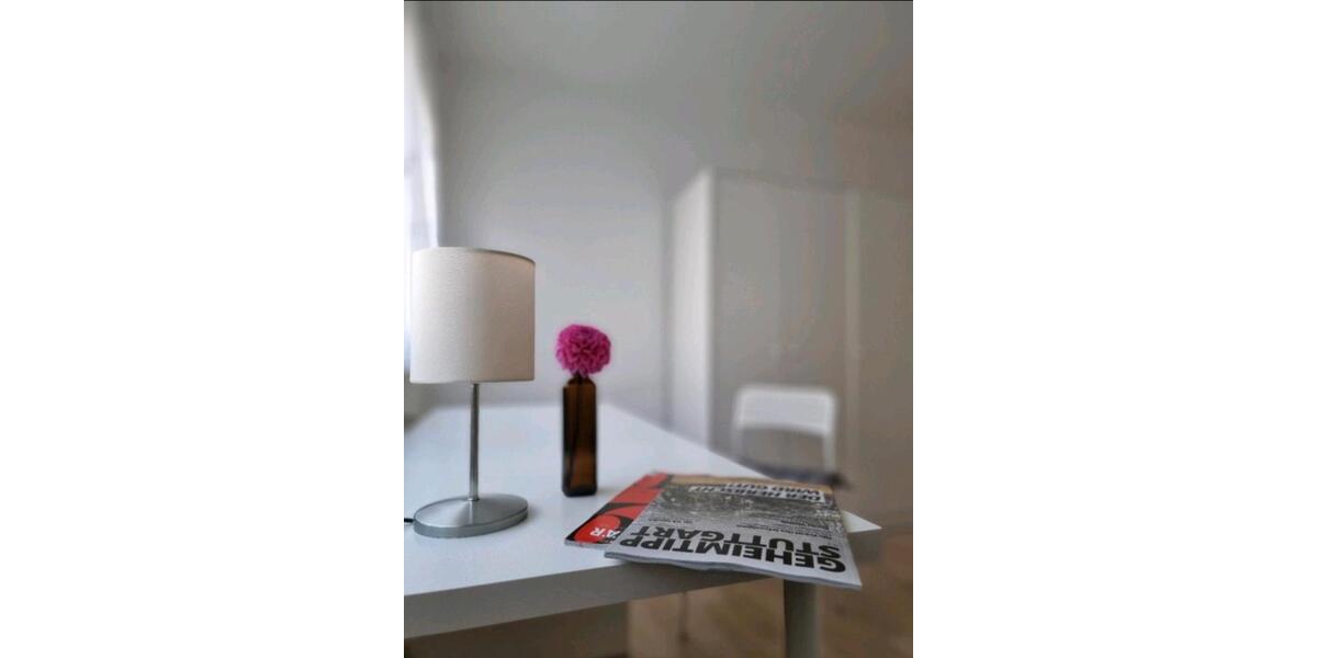 Wohnen auf Zeit Stuttgart Fasanenhof-Ost - 1 Zimmer, 19 m&sup2;, 580&euro; | Angebot:25270606