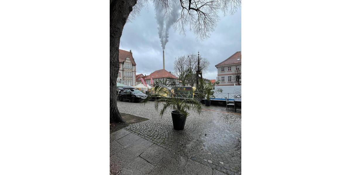 Gewerbeobjekt Alfeld (Leine) - 500&euro; | Angebot:26217687