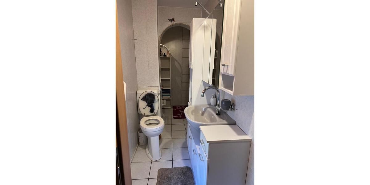 Wohnen auf Zeit Teutschenthal - 4 Zimmer, 180 m&sup2;, 22&euro; | Angebot:23616465