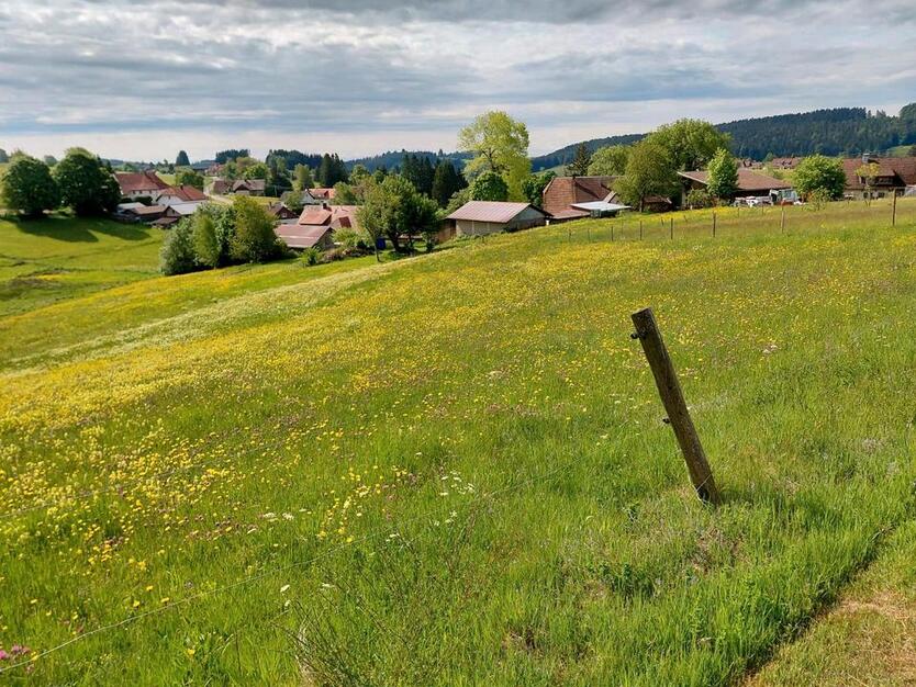 5 Zimmer Wohnung Herrischried