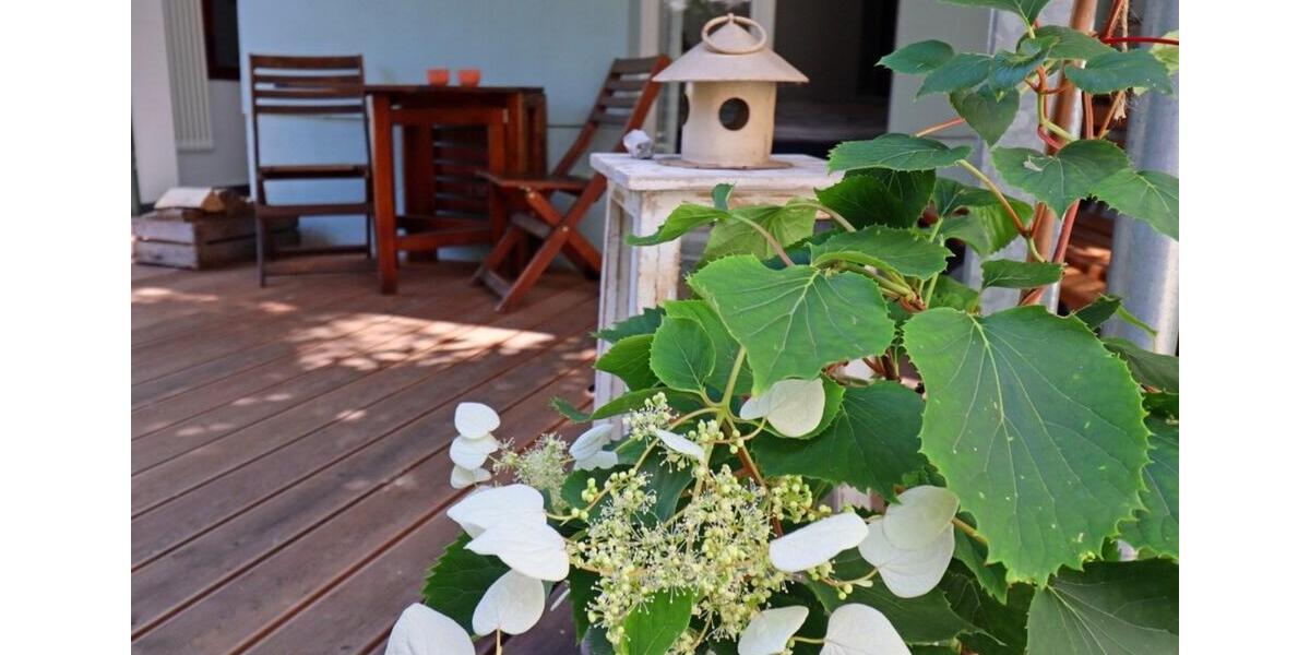 Hochparterre Wismar Altstadt - 1 Zimmer, 35 m&sup2;, 450&euro; | Angebot:25229787