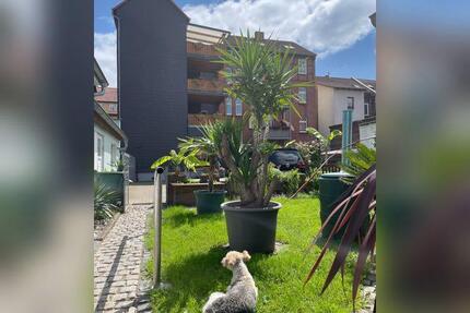 Wohnung Eisenach - 4 Zimmer, 125 m&sup2;, 738&euro; | Angebot:25992448