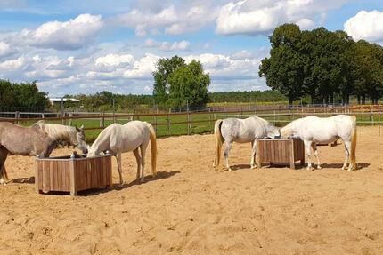 Wohnung Ziesar - 2 Zimmer, 61 m&sup2;, 380&euro; | Angebot:24744105