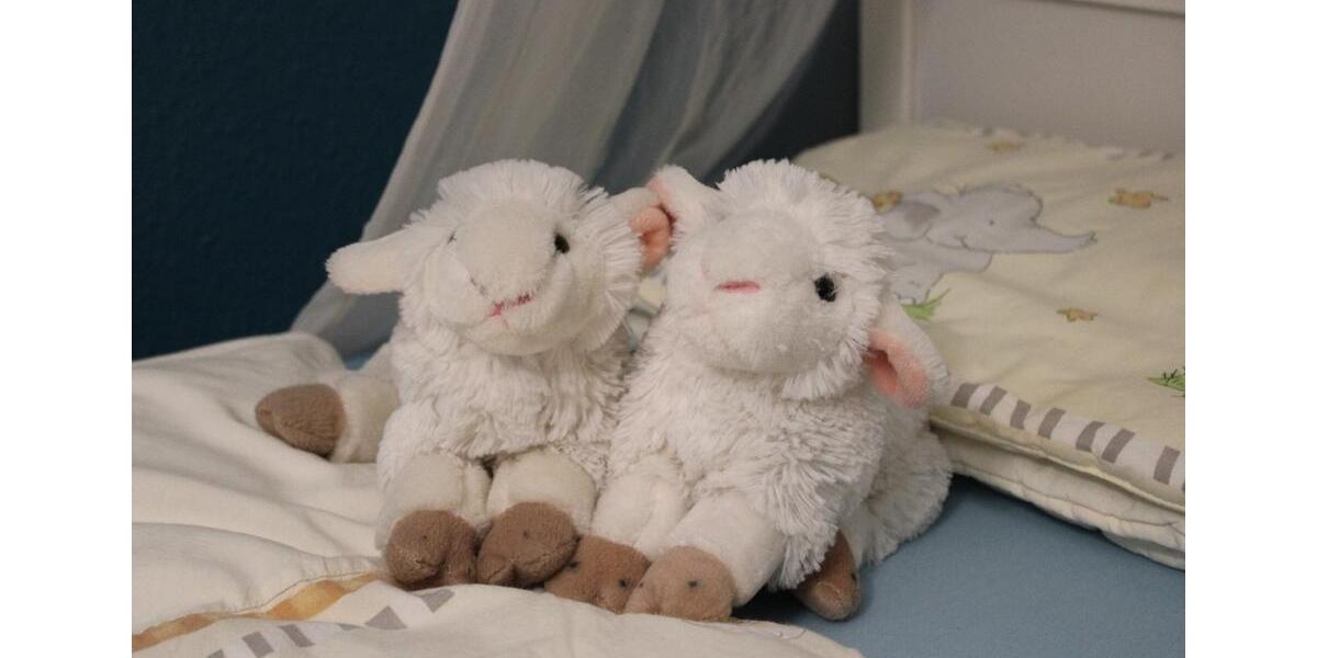 Wohnen auf Zeit Erfurt Daberstedt - 3 Zimmer, 77 m&sup2;, 1.690&euro; | Angebot:18122493