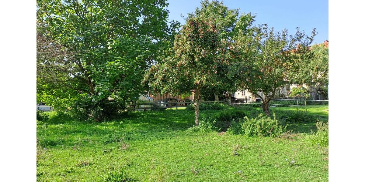 Einfamilienhaus Hameln Kernstadt - 1 Zimmer, 38 m&sup2;, 220&euro; | Angebot:25105730