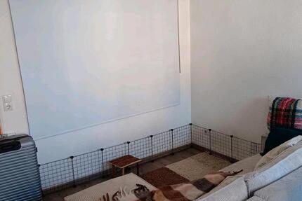 Wohnung Mülheim-Kärlich Kärlich - 1 Zimmer, 45 m&sup2;, 720&euro; | Angebot:25638077