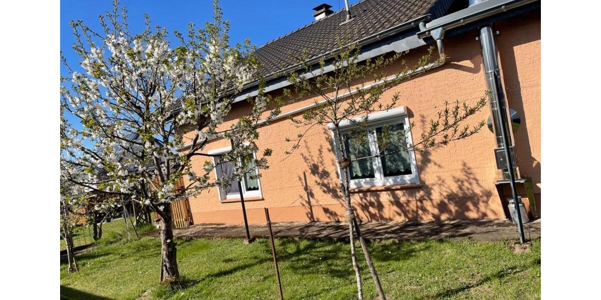 Etagenwohnung Wadern - 3 Zimmer, 85 m&sup2;, 800&euro; | Angebot:26413213