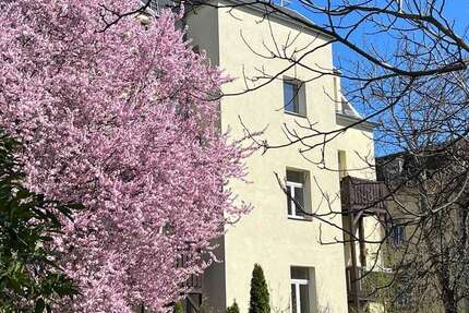 Wohnung zum Mieten in Dresden 545 € 66 m²