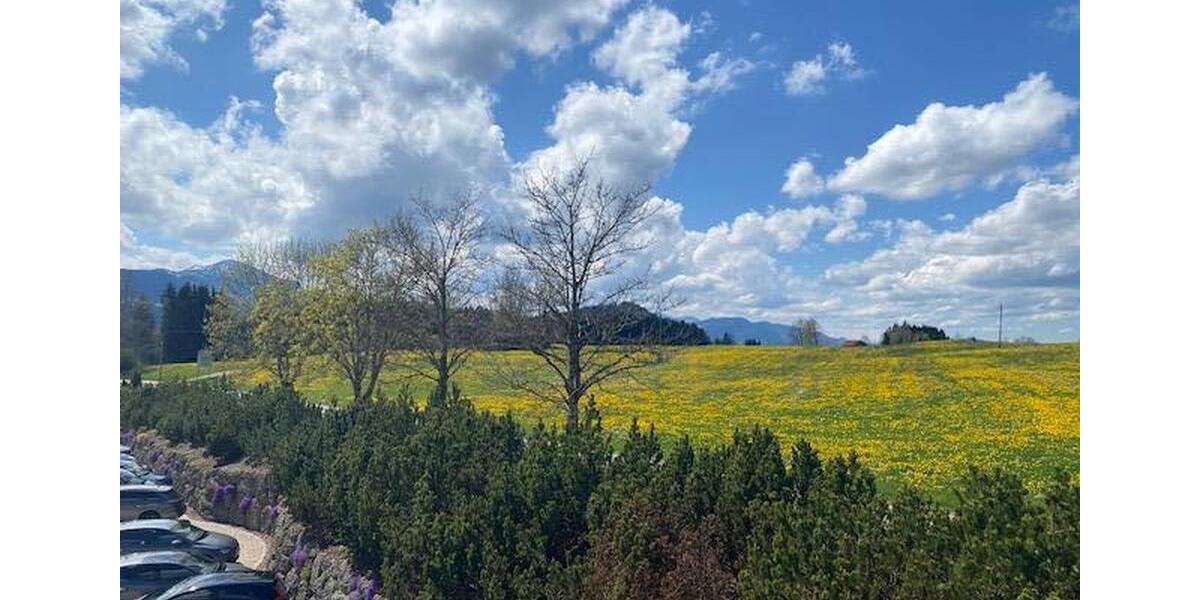 Gewerbeobjekt Sulzberg - 10&euro; | Angebot:24473091