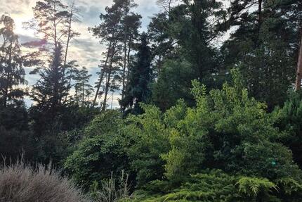 Haus Tremsbüttel - 3 Zimmer, 72 m&sup2;, 980&euro; | Angebot:24743087