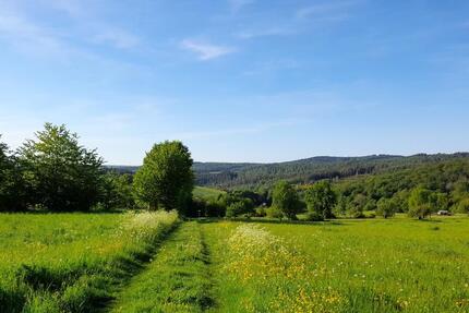 Wohnung Schlangenbad - 8 Zimmer, 250 m&sup2;, 2.500&euro; | Angebot:24842776