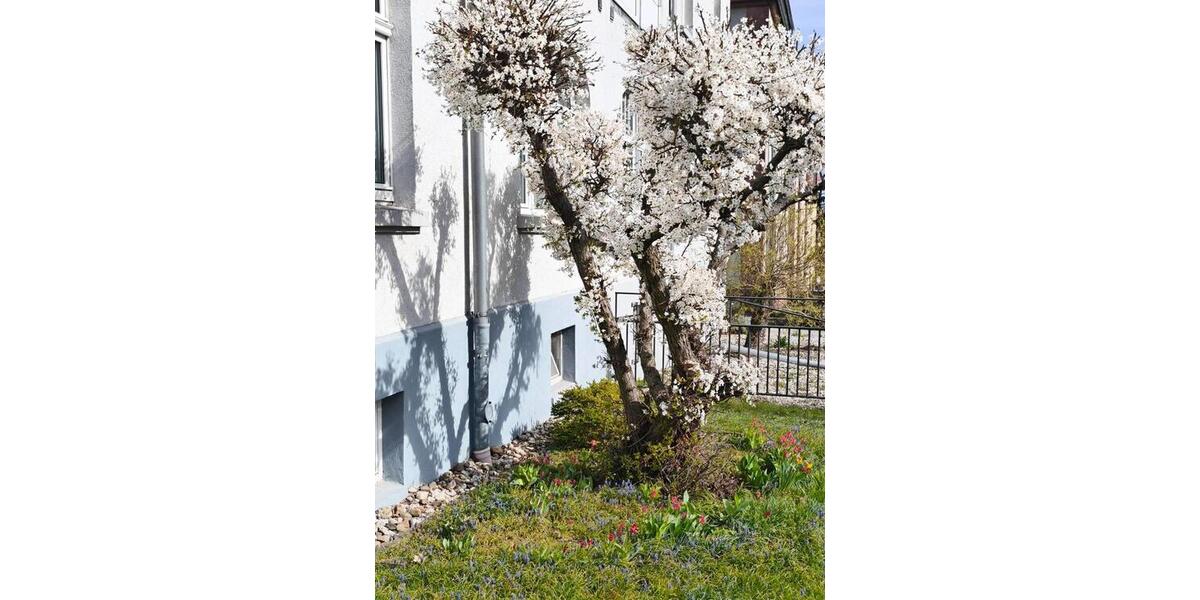 Dachgeschoßwohnung Grimma - 2 Zimmer, 60 m&sup2;, 475&euro; | Angebot:25935176