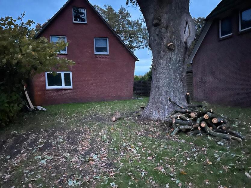 Schöne 3 Zimmerwohnung mit Garten zimmer